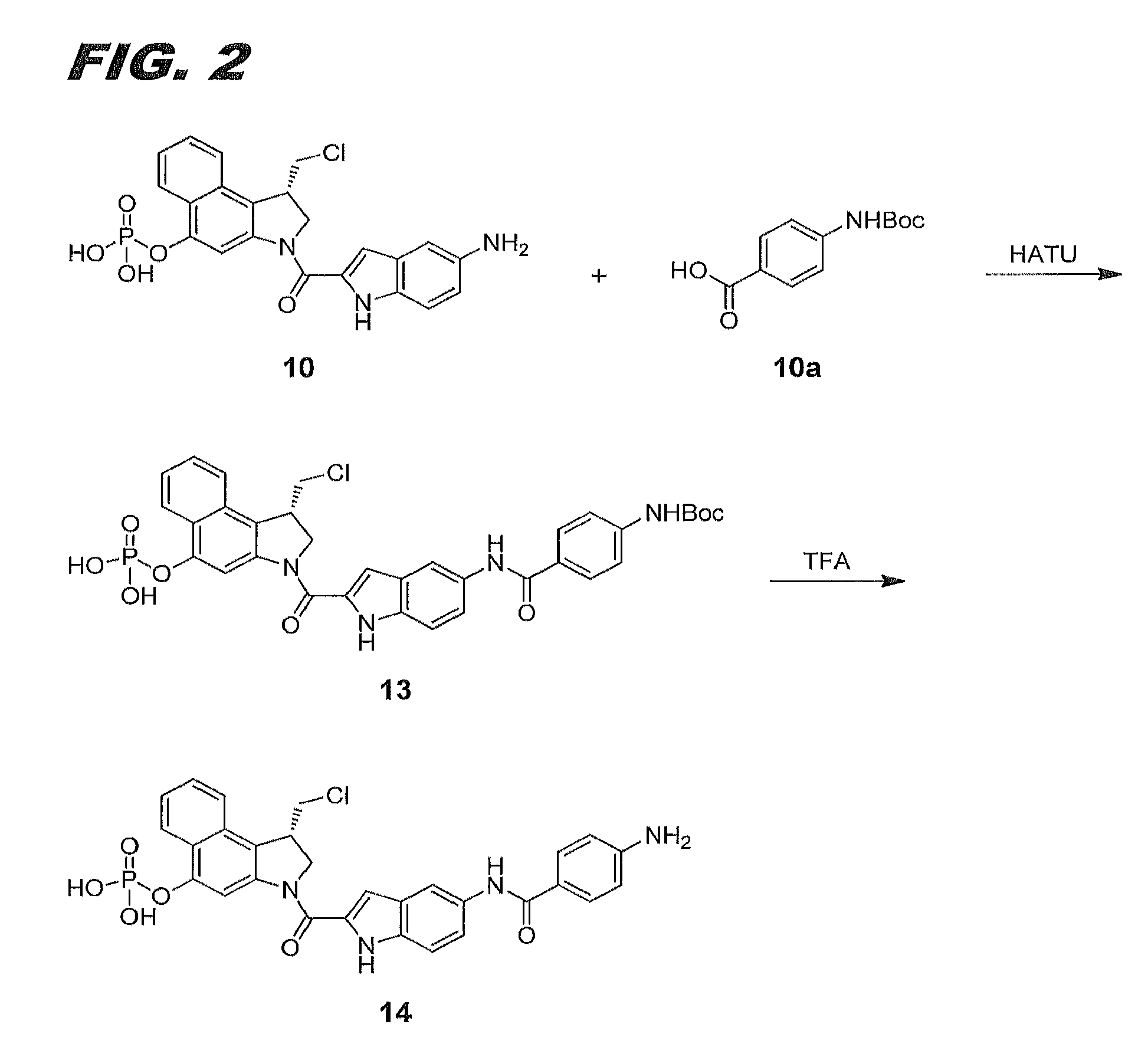 Immunoconjugates, compositions for making them, and methods of making and use