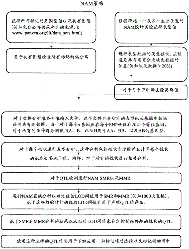 Method for selecting statistically validated candidate genes