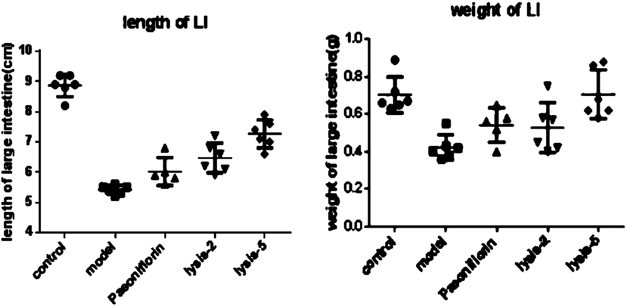 Application of paeoniflorin metabolism pigment I in preparing medicine for treating colitis