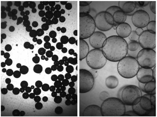 Acrylic resin thermal expansion foaming microspheres and preparation method thereof