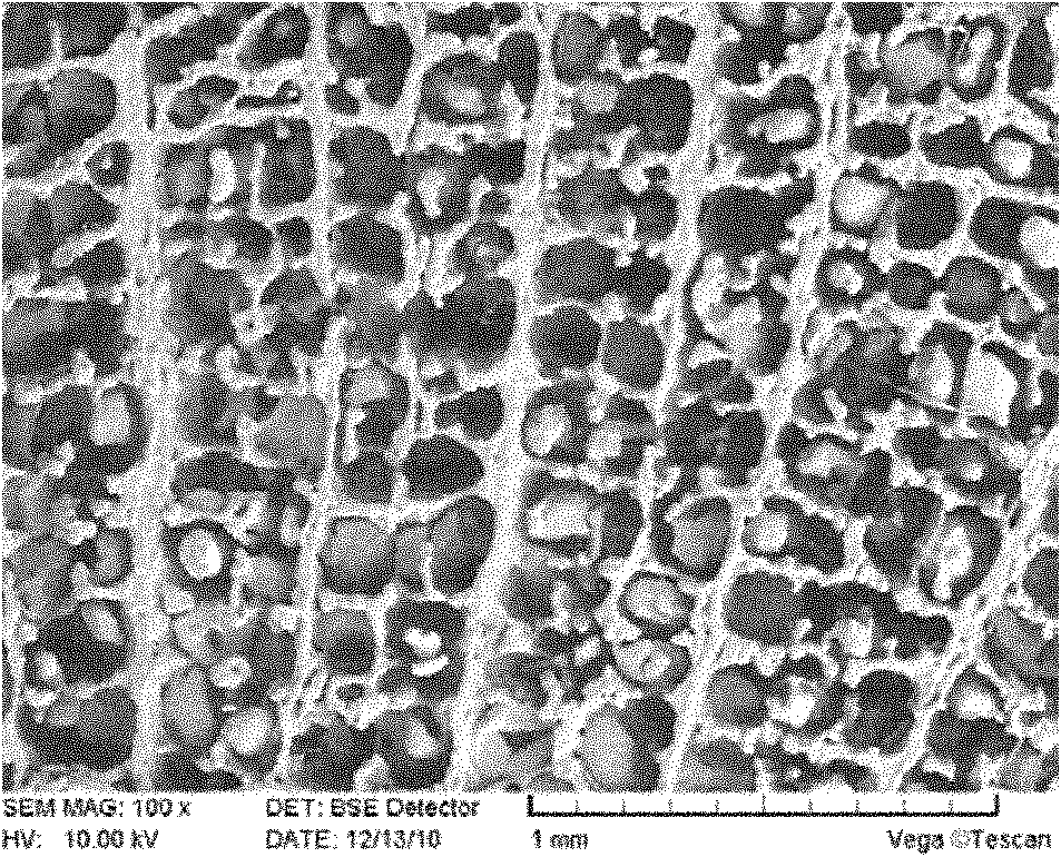 Honeycomb polymer-based bionic porous scaffold material and preparation method thereof