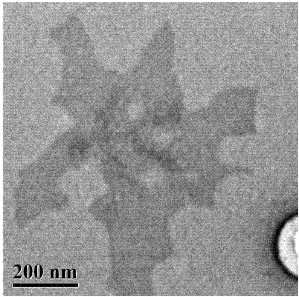 Layer perforation of two-dimensional layer-shaped metal organic framework and application