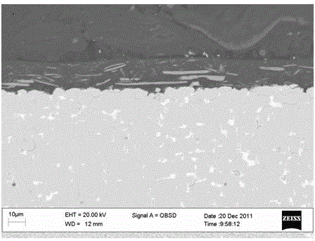 Neodymium iron boron rare earth permanent magnet surface anti-corrosion coating and preparation method thereof