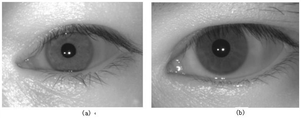 Method for adaptively adjusting gamma curve of human eye iris image