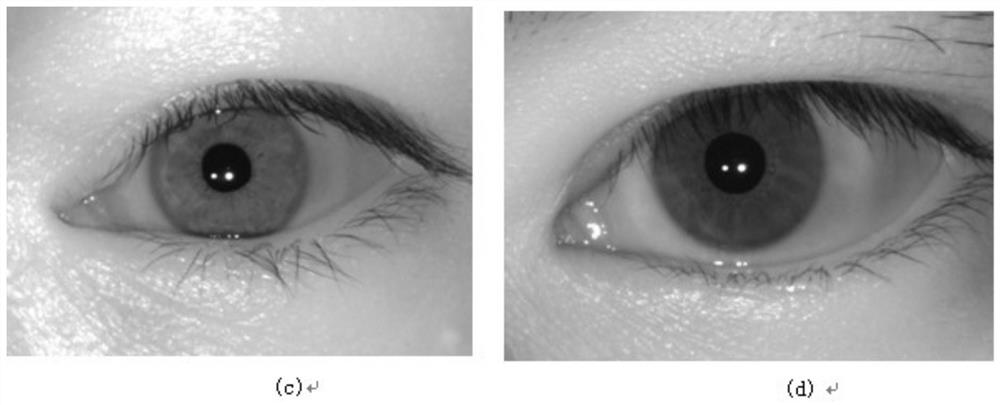 Method for adaptively adjusting gamma curve of human eye iris image