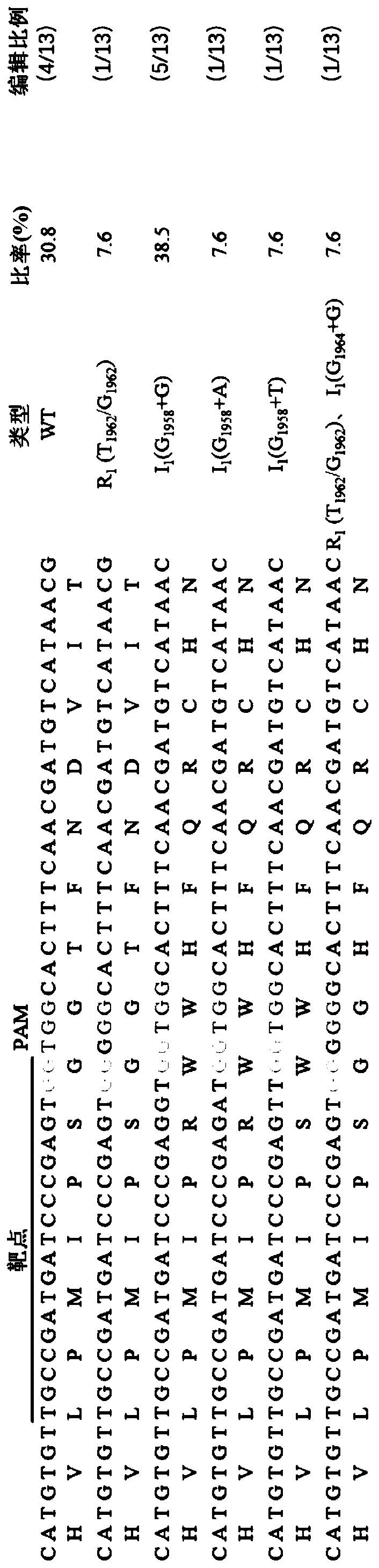 Method for constructing biological mutant library