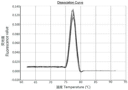 Quantitative detection method of tea moth nucleopolyhedrosis virus