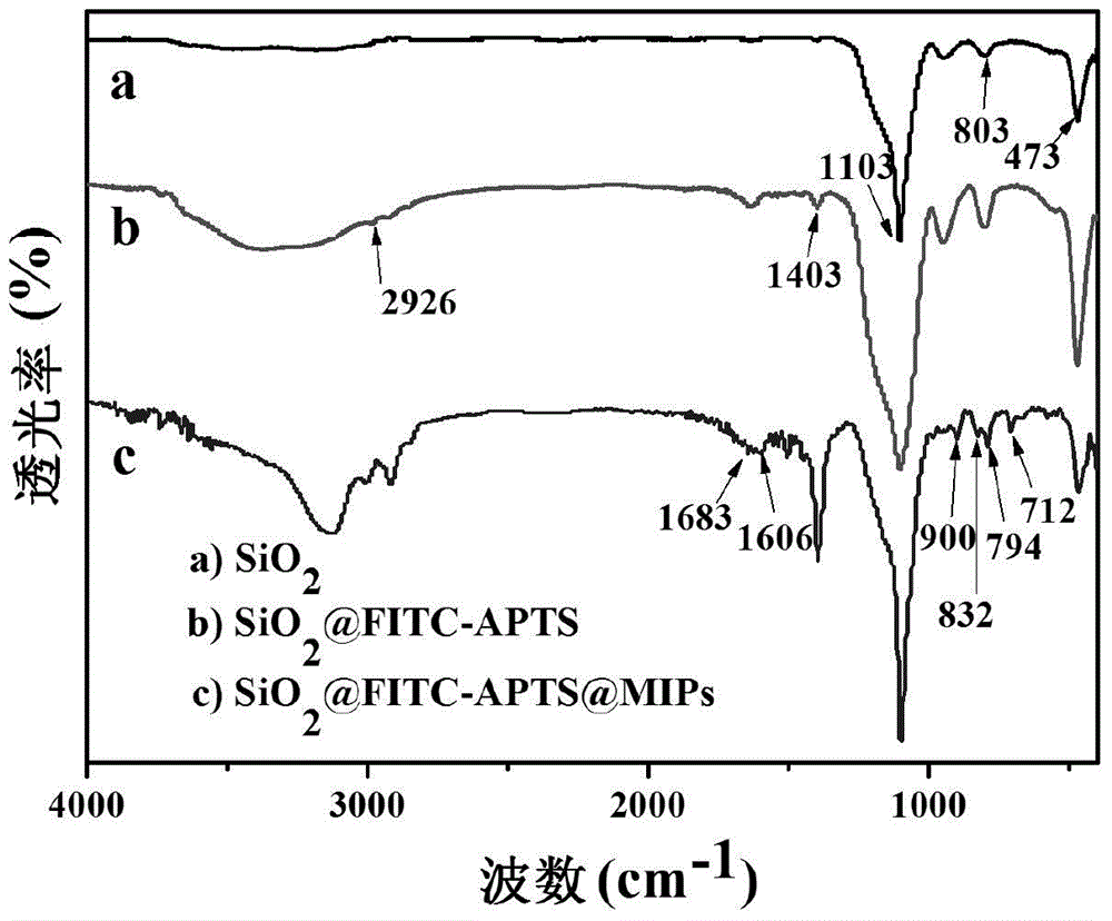 Preparation method of molecularly imprinted material for fluorescent selective recognition of cyhalothrin