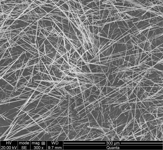 Process for preparing calcium sulfate crystal whisker by desulfurized gypsum as well as calcium sulfate crystal whisker