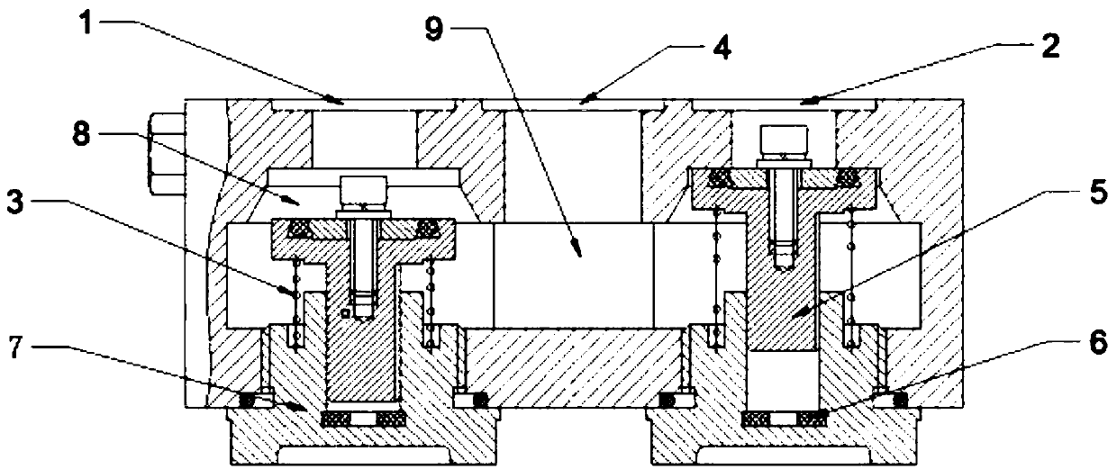 Air outlet check valve used for air dryer