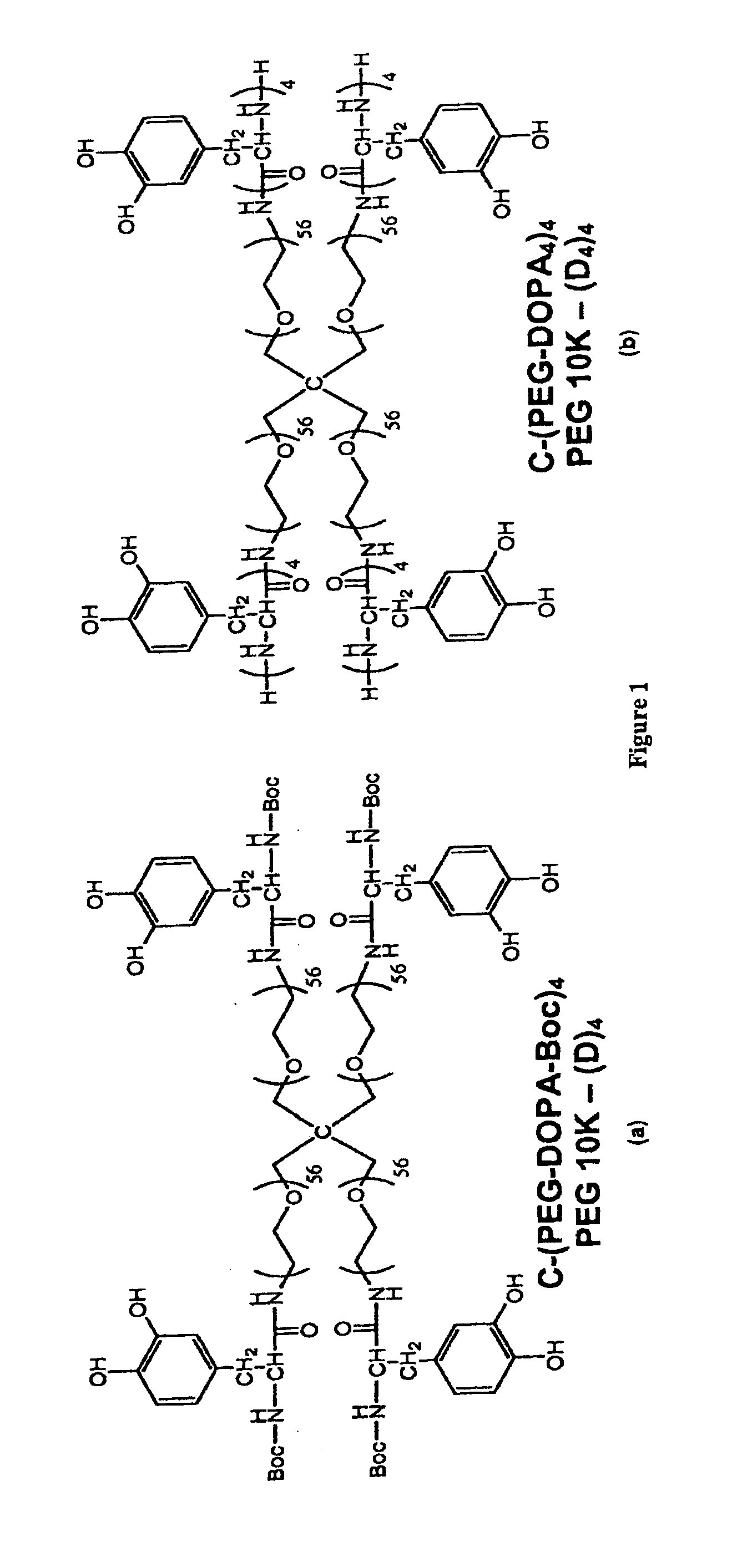 Dopa-functionalized, branched, poly(aklylene oxide) adhesives