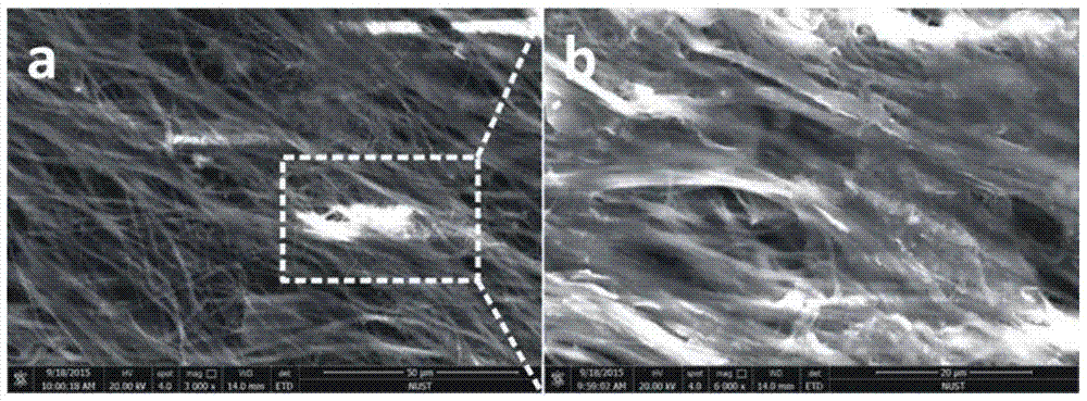 A kind of bacterial cellulose/graphene/ferric oxide composite film and preparation method thereof