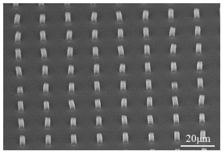 Method for improving carbon nanotube field emitting performance through diamond-like carbon film