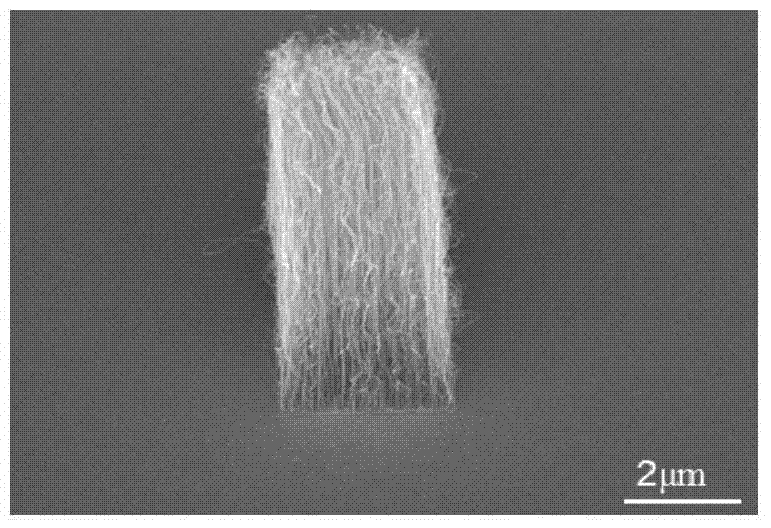 Method for improving carbon nanotube field emitting performance through diamond-like carbon film