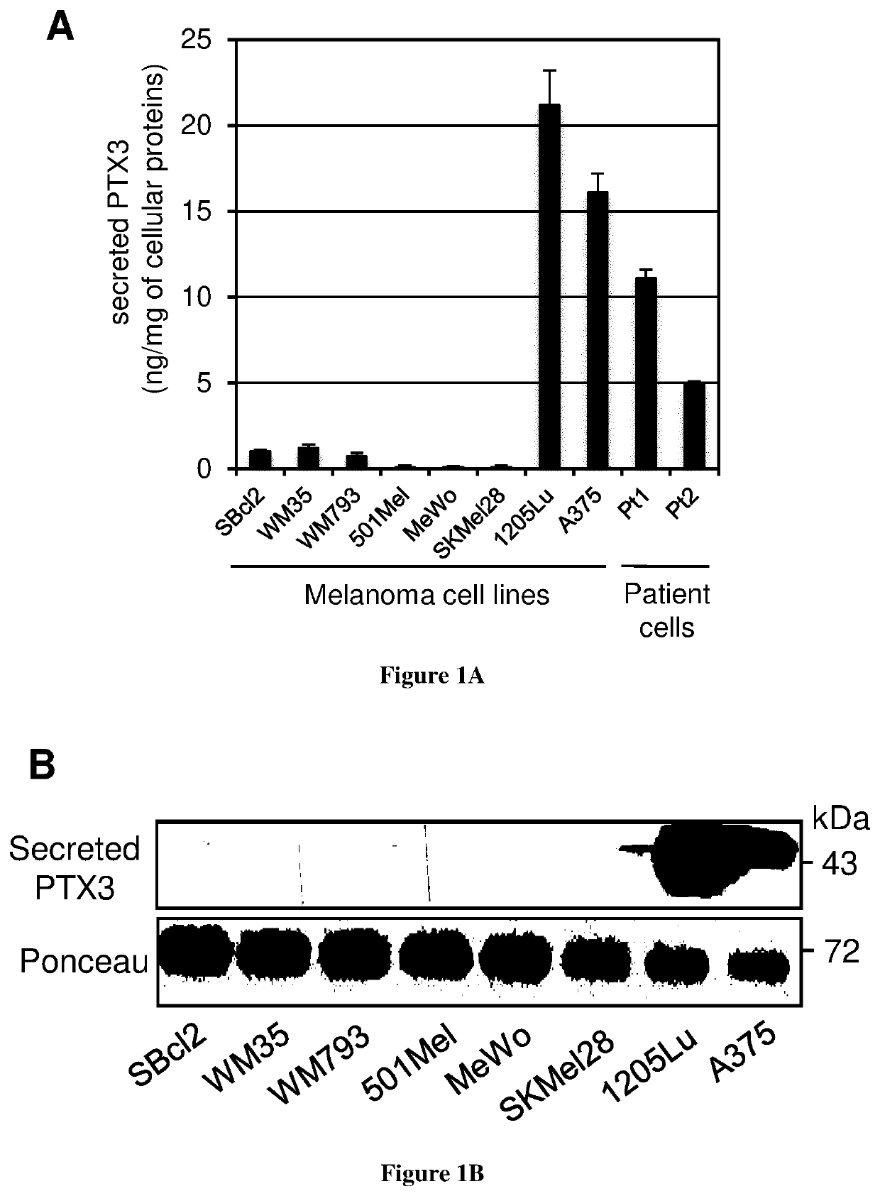 Methods and compositions for treating melanoma