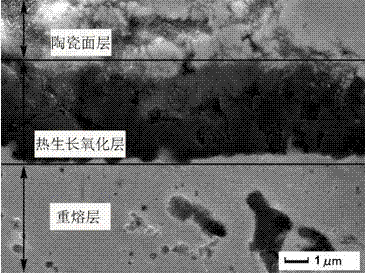 Anti-oxidization thermal barrier coating material with long service life and preparation method thereof
