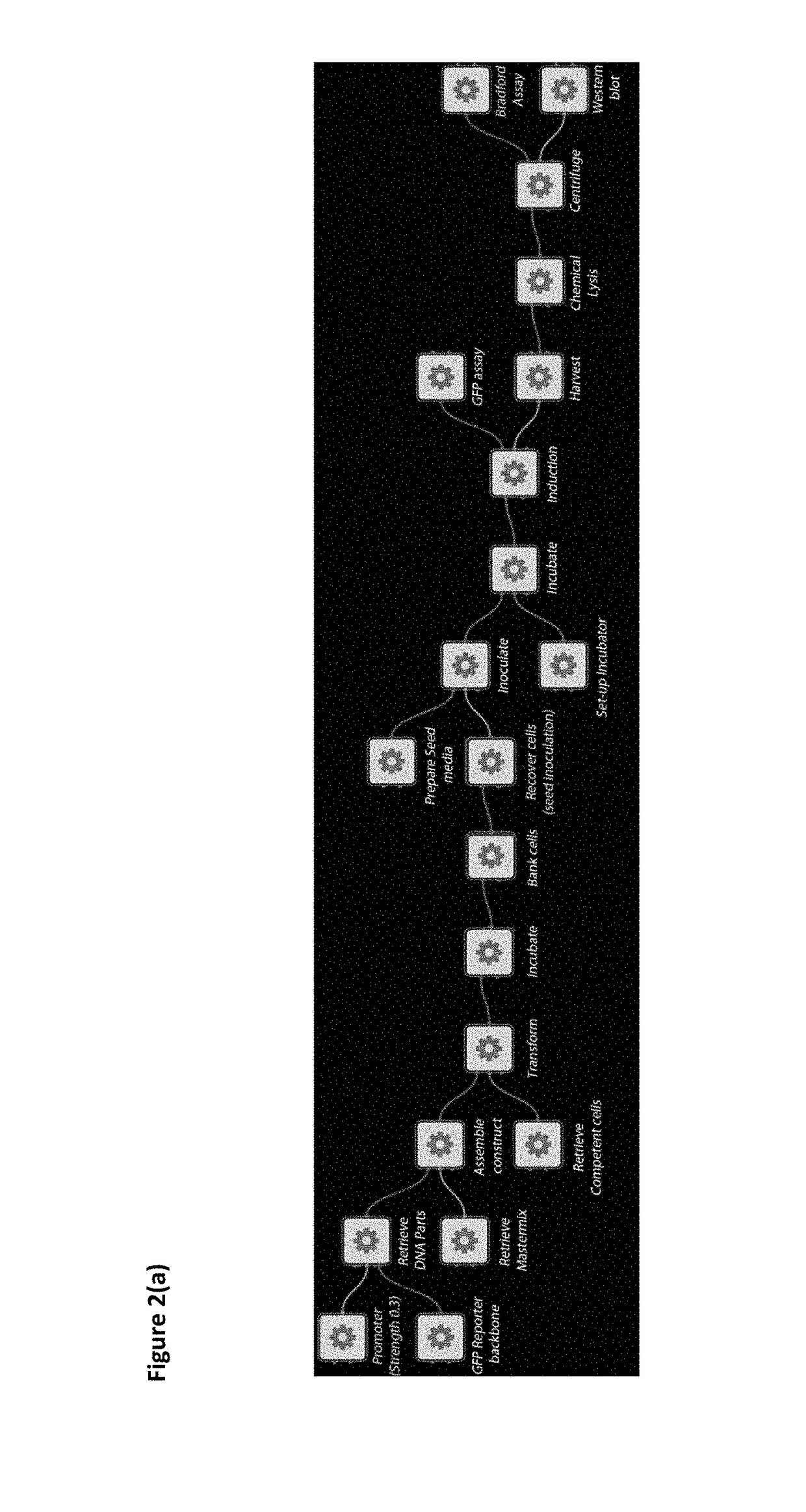 Bioprocess method and system