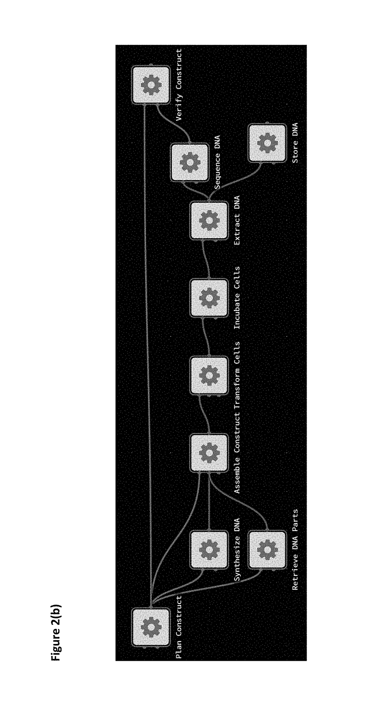 Bioprocess method and system