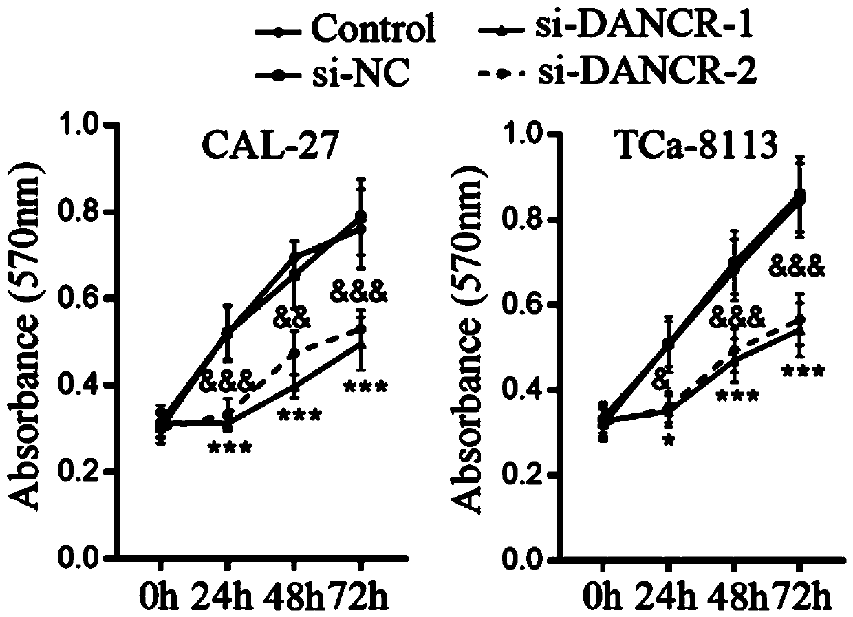 Molecular marker for preventing, diagnosing and treating tongue squamous cell carcinoma, and application thereof