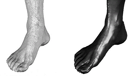 A method of measuring three-dimensional foot shape information and three-dimensional reconstruction model of the foot using rgb-d camera