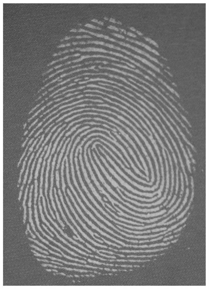 Fingerprint fluorescence fumigation developing reagent and developing method thereof