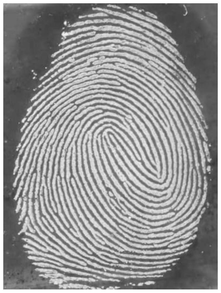 Fingerprint fluorescence fumigation developing reagent and developing method thereof