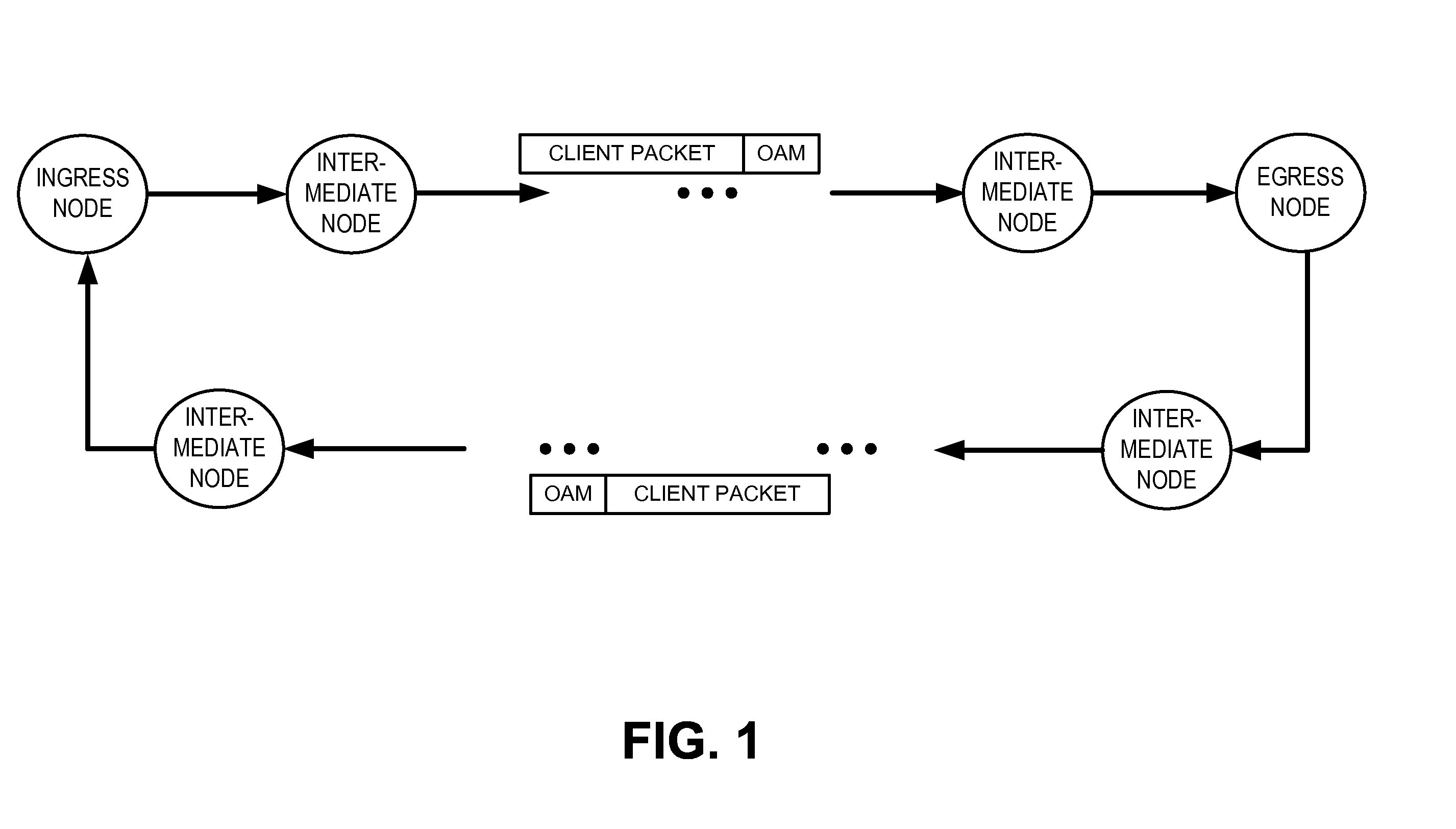 Operations, administration, and management fields for packet transport