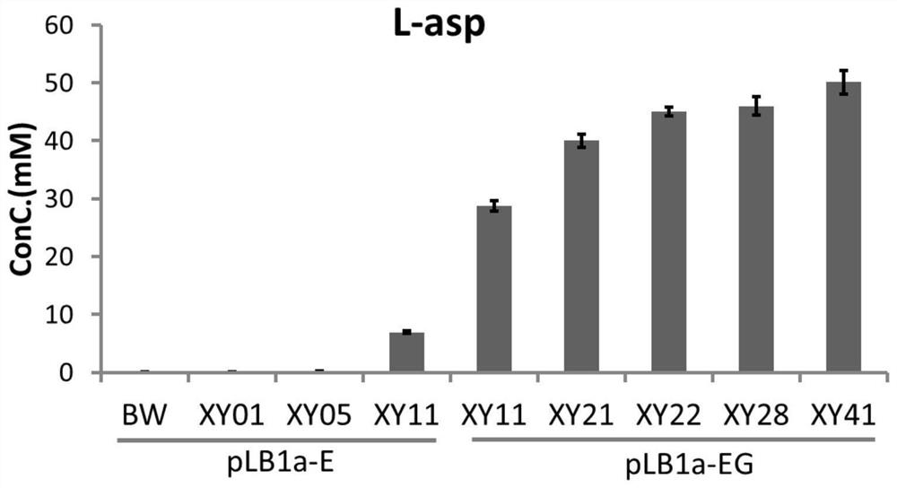 Platform bacterium for producing L-aspartate, recombinant bacterium constructed based on platform bacterium for producing beta-alanine and construction method of recombinant bacterium