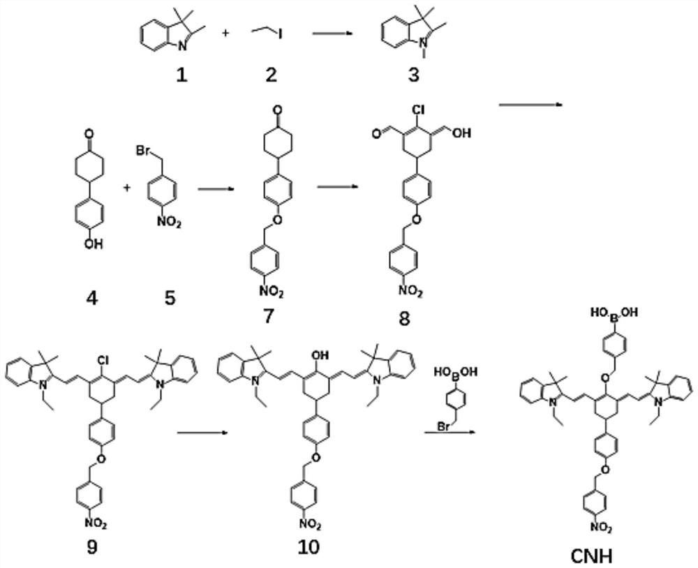 Fluorescent molecular probe for near-infrared photodynamic linkage detection of nitroreductase and hydrogen peroxide as well as preparation method and application of fluorescent molecular probe