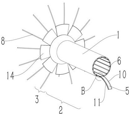 Tissue shielding type vaginal channel