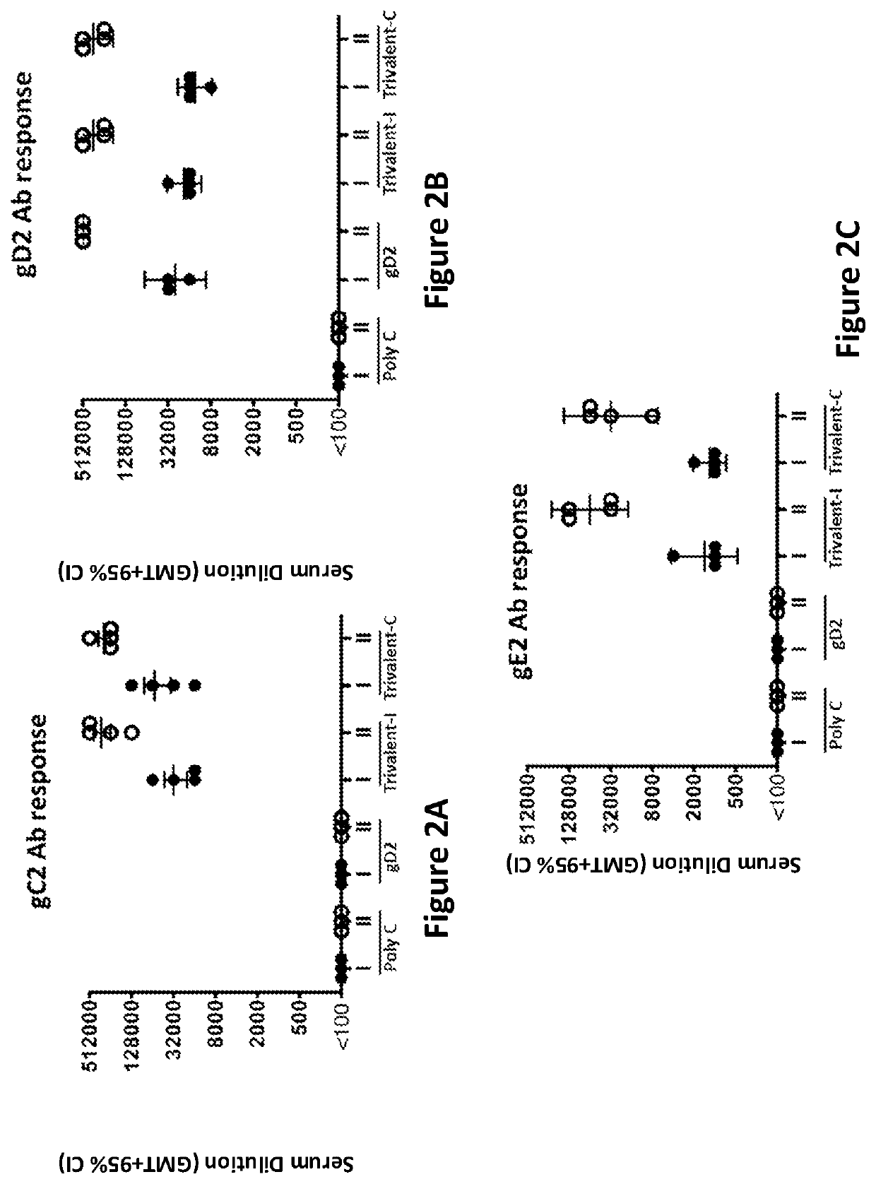 Modified mRNA vaccines encoding herpes simplex virus glycoproteins and uses thereof