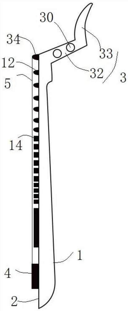 Bass 4-stringed Chinese lute