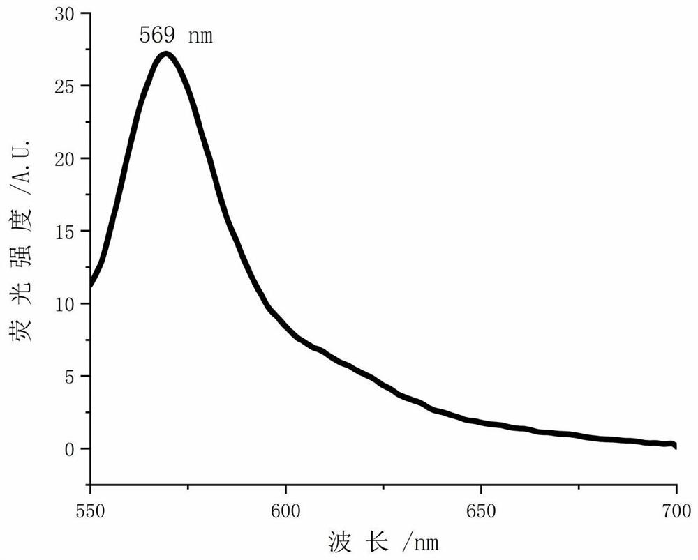 A kind of photosensitizer probe tfdb and its preparation method and application