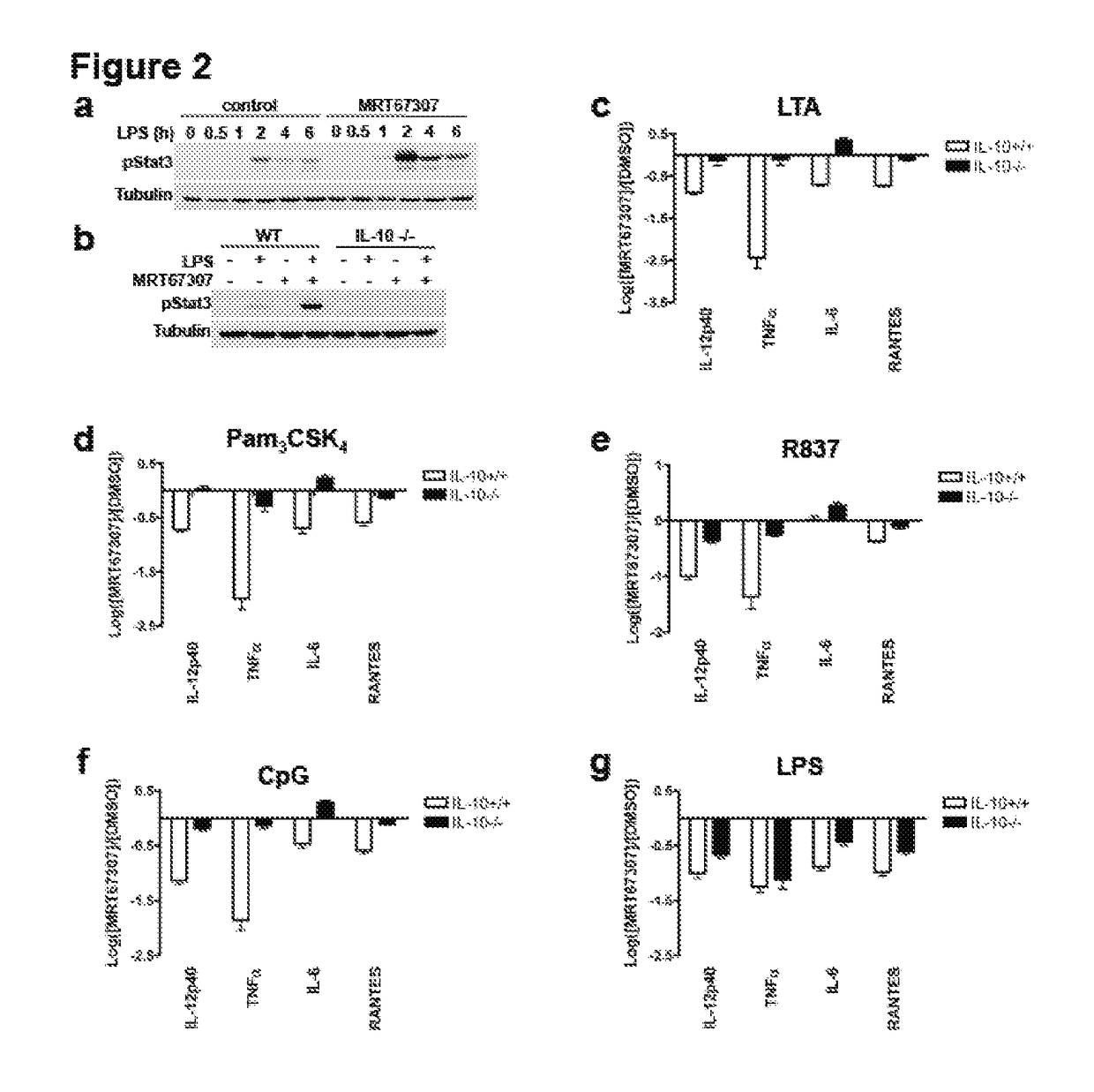SIK inhibitor for use in a method of treating an inflammatory and/or immune disorder