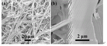 Synthetic method of high-selectivity comb-type CdS nanometer material