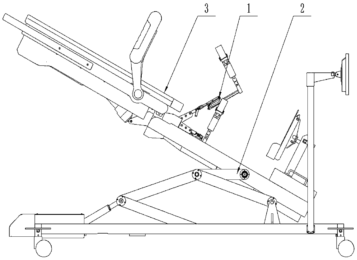 Adjustable hip joint training device capable of accurate feedback