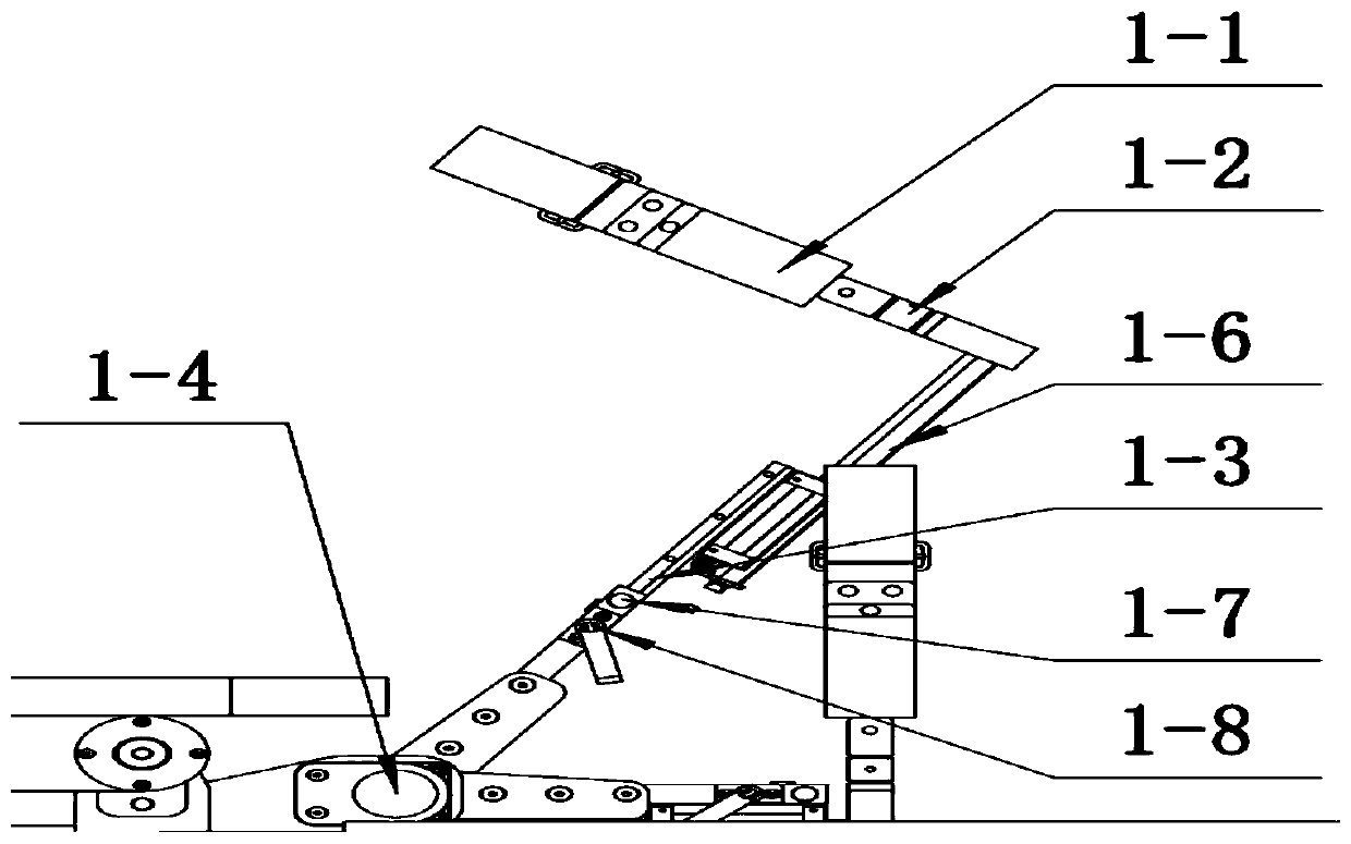 Adjustable hip joint training device capable of accurate feedback