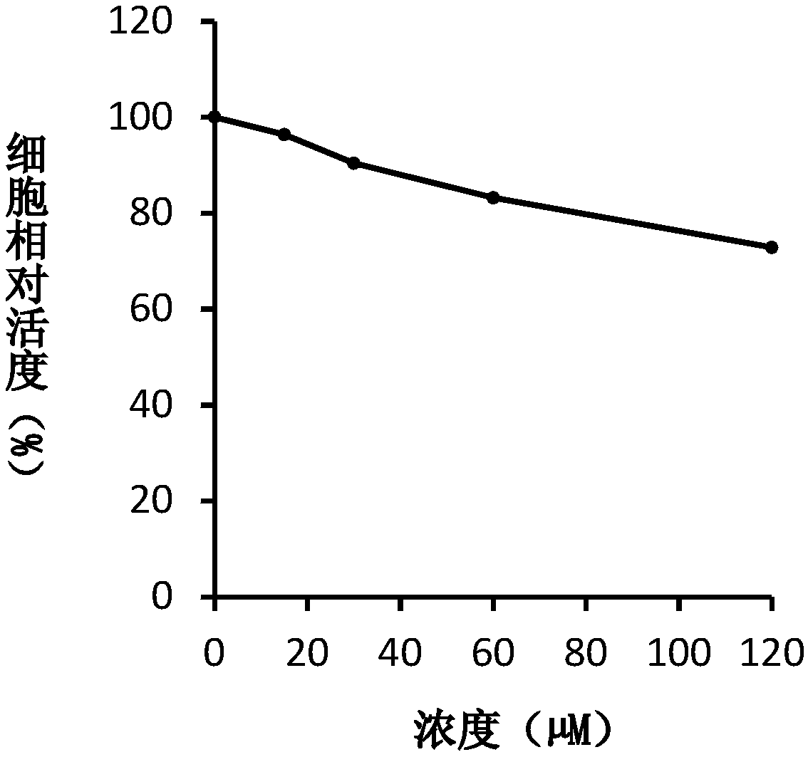 Iron ion chelating agent and application of medicinal salt of chelating agent