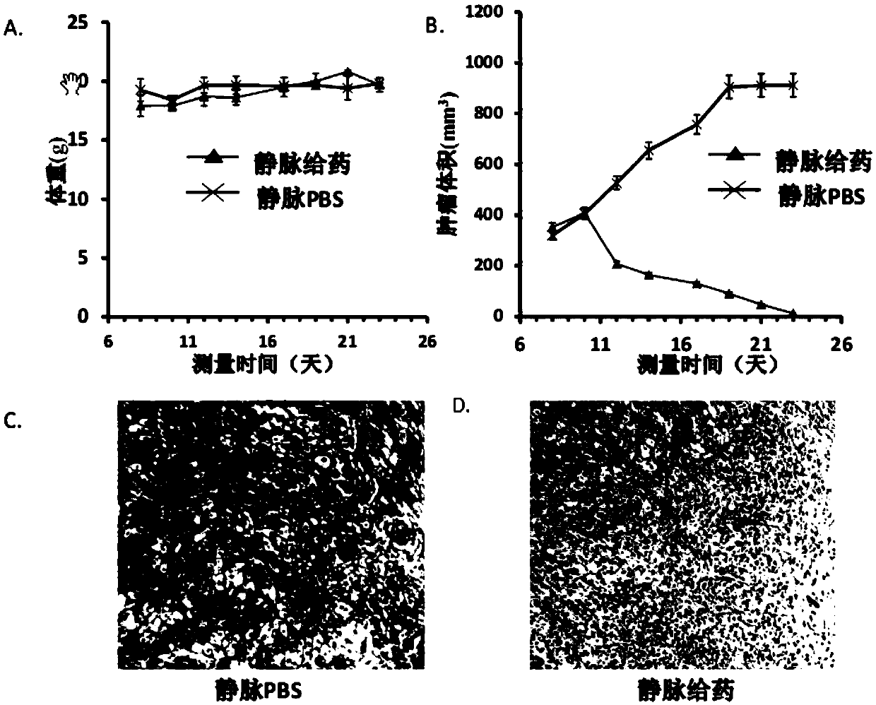 Iron ion chelating agent and application of medicinal salt of chelating agent