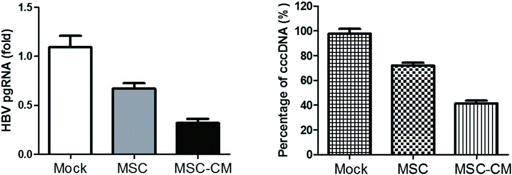 Mesenchymal stem cells combined with traditional Chinese medicines for activating amplification and preparation method and application of mesenchymal stem cells