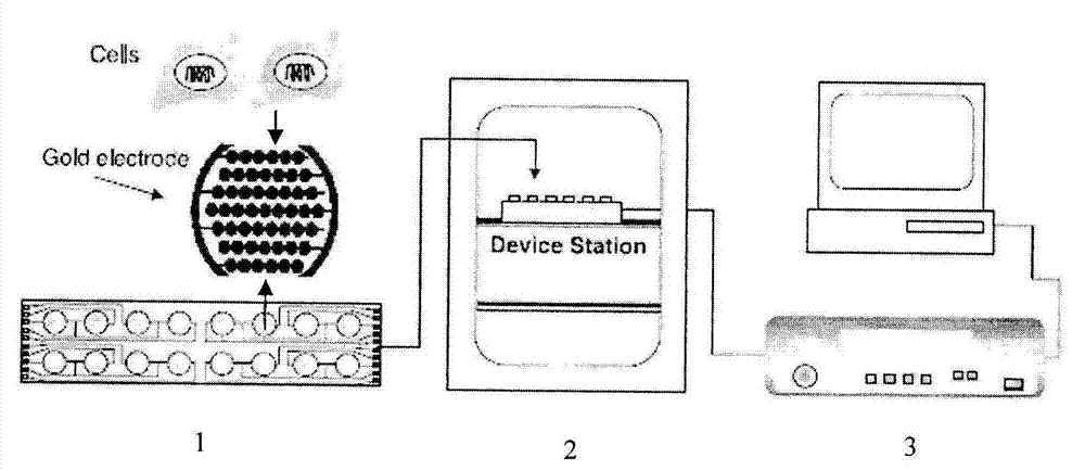Flue gas condensate cytotoxicity determination method based on cell electronic sensor