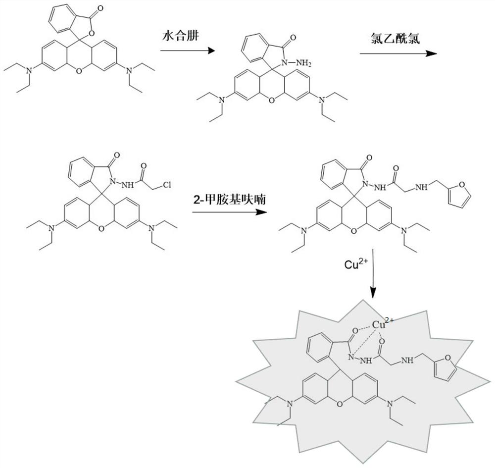 Preparation and application of aminoacylmethyl-(2-methylaminofuran)rhodamine amide derivative