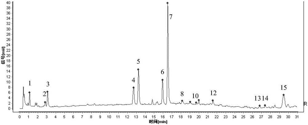 Detection method of Prunella vulgaris fingerprint