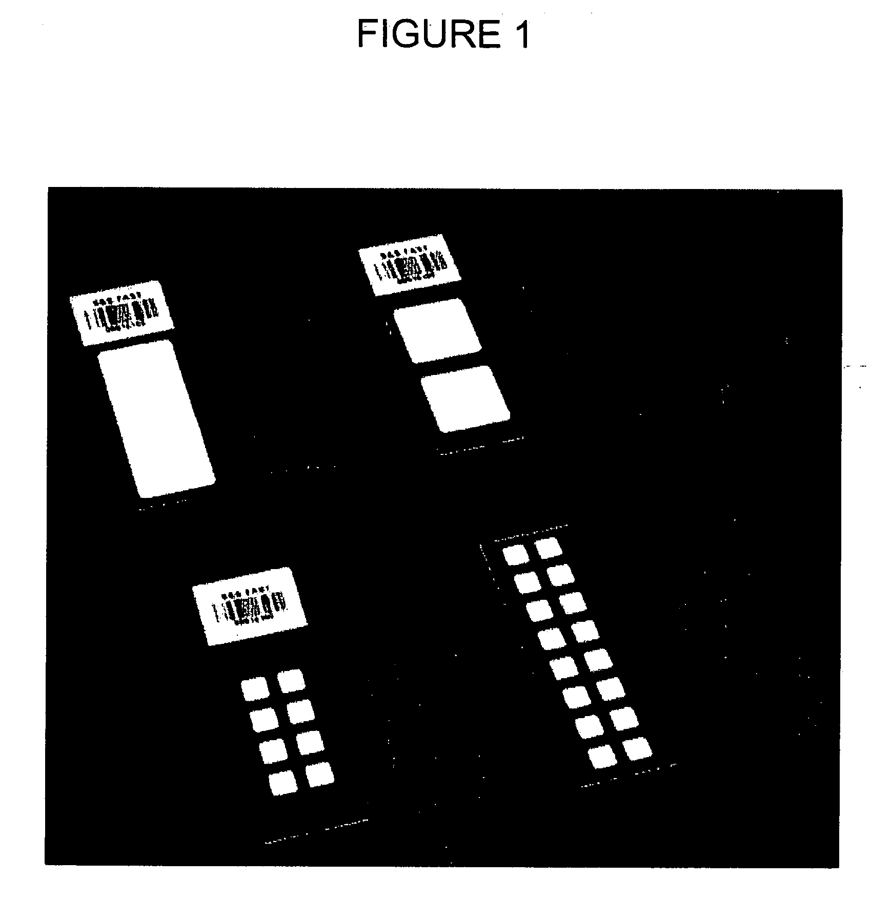 Protein microarray device having internal calibrators and methods of using therefor