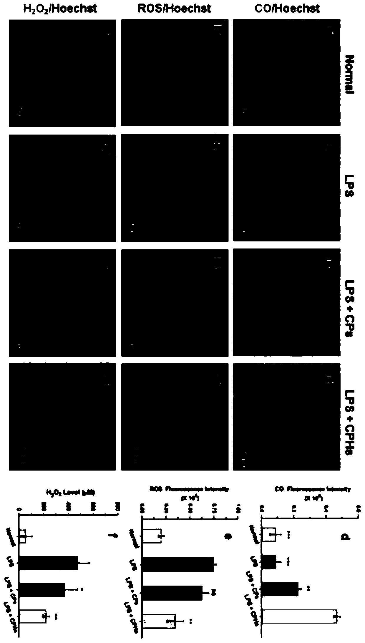 Nanogel drug carrier for targeted delivery and consumption of large amount of H2O2 and release of CO at the same time, and preparation method and application thereof