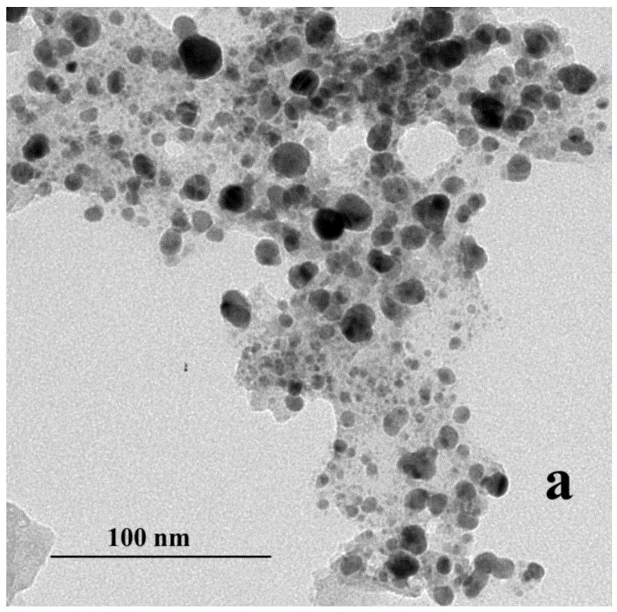 Biosynthesis method of nano Ag