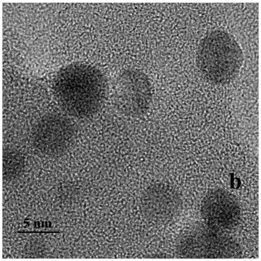 Biosynthesis method of nano Ag