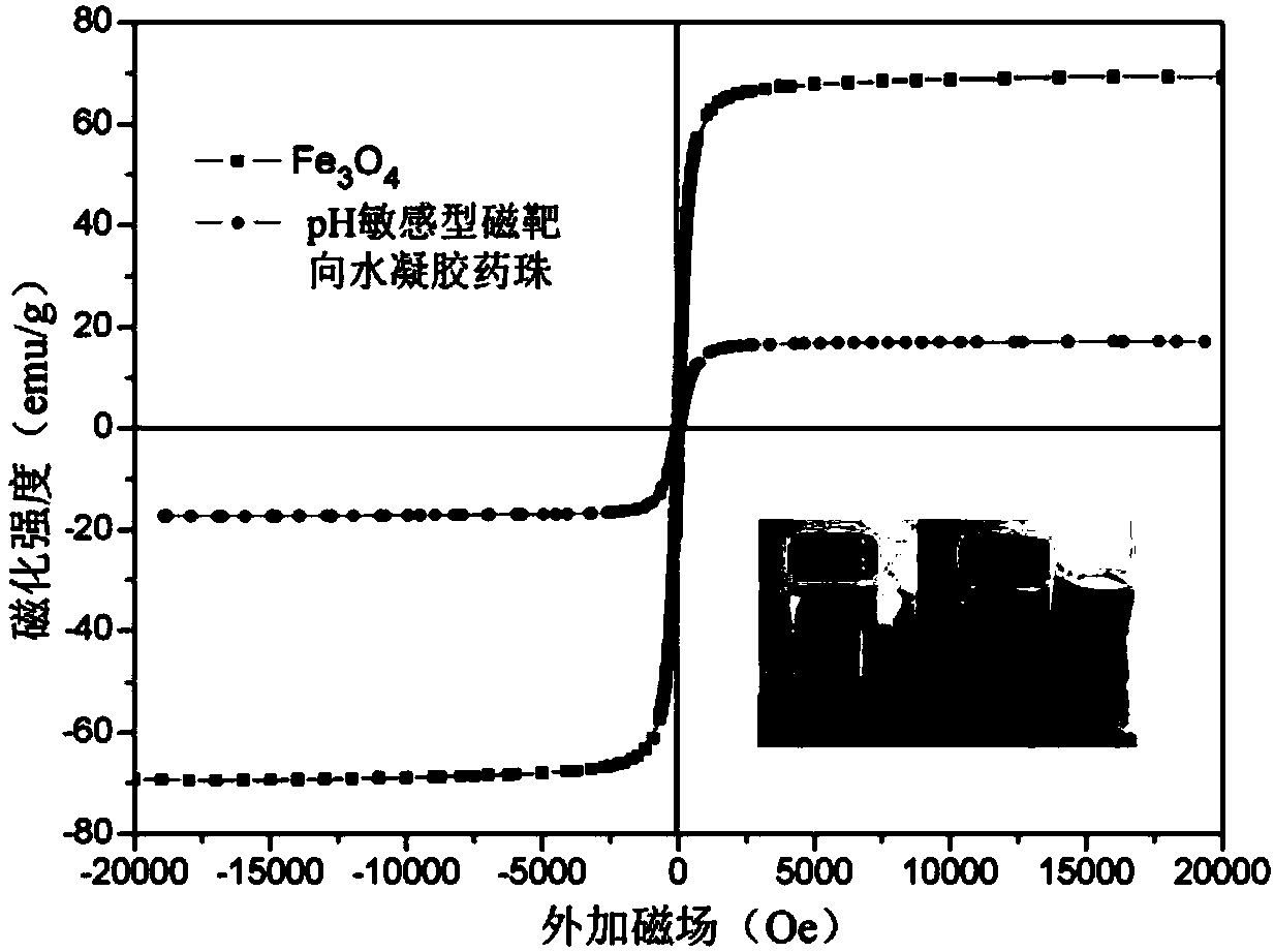 PH-sensitive magnetic targeting hydrogel drug beads as well as preparation method and application thereof