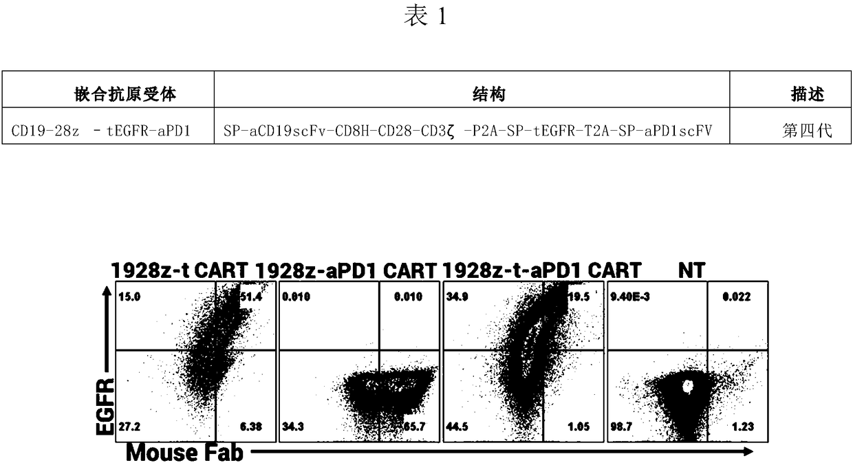 CD19 targeted chimeric antigen receptor, method of dual-modifying same, and application of the CD19 targeted chimeric antigen receptor