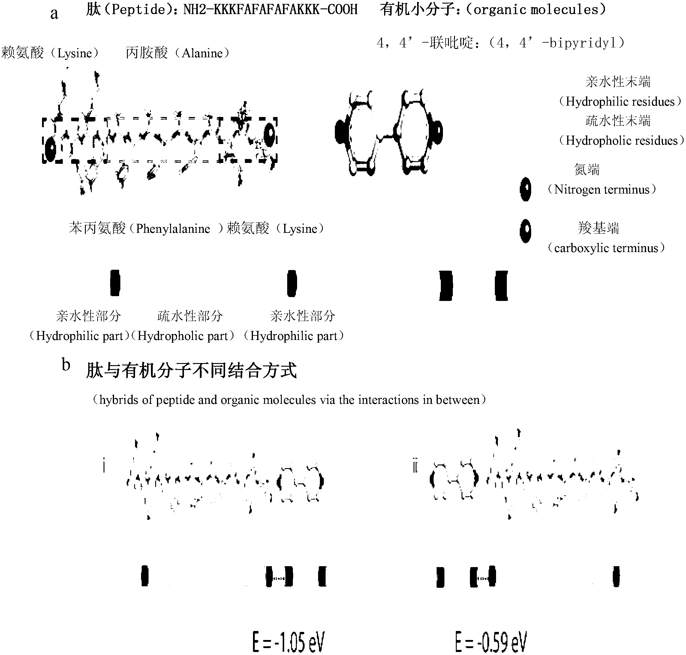 Method for forming two-dimensional polypeptide nanosheets by regulating assembly of polypeptides with organic micromolecules